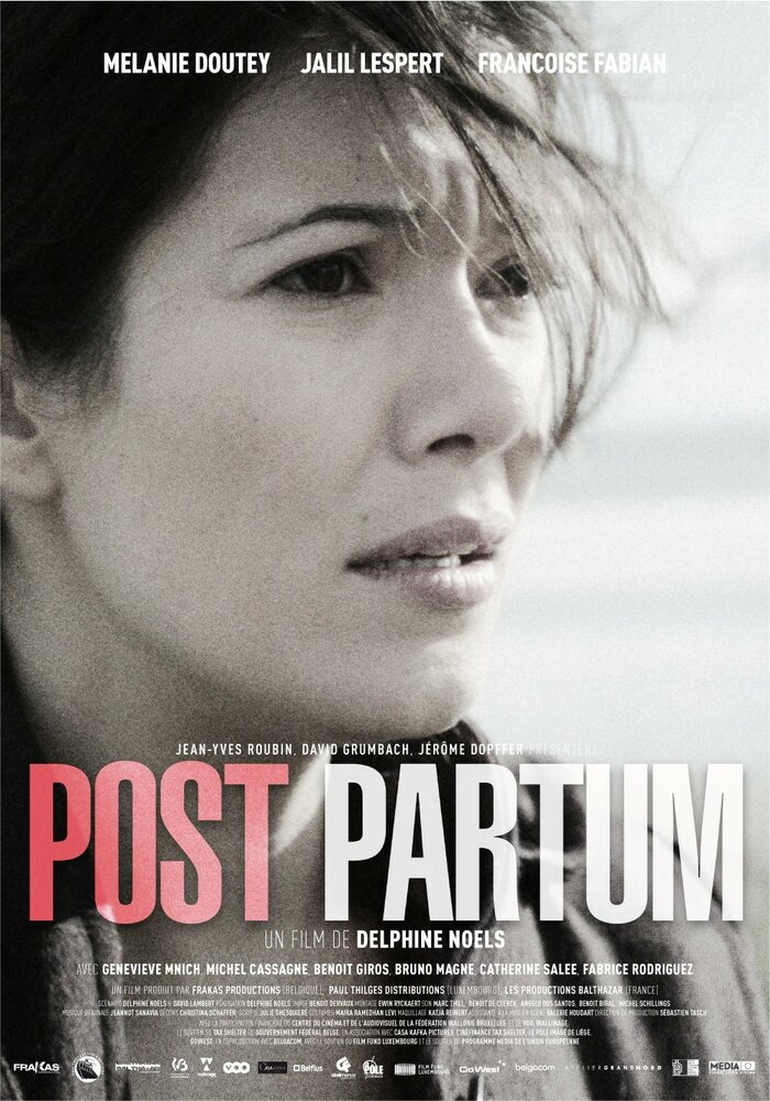Post partum (2013) постер