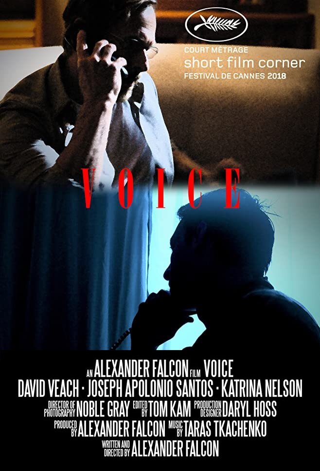 Voice (2018) постер