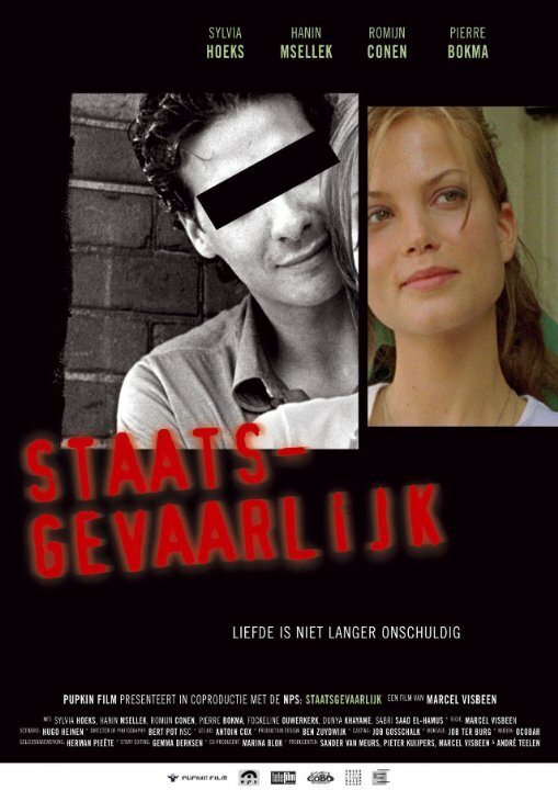 Опасный для государства (2005) постер
