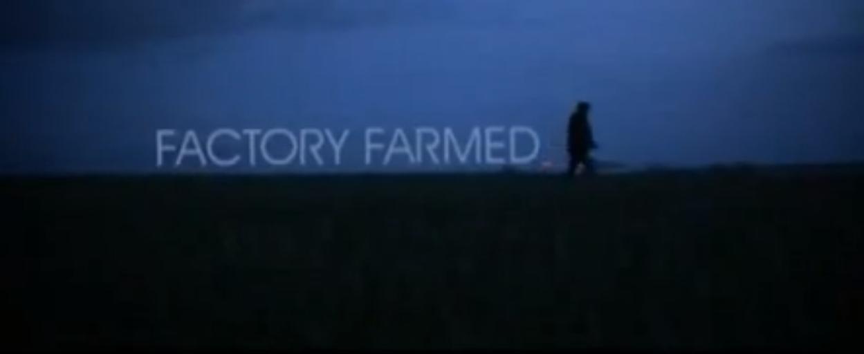 Factory Farmed (2008) постер