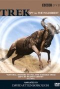 Trek: Spy on the Wildebeest (2007) постер