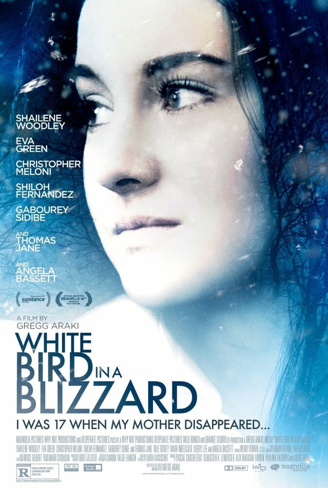Белая птица в метели (2014) постер