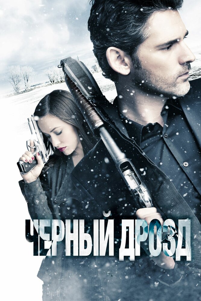 Чёрный дрозд (2011) постер