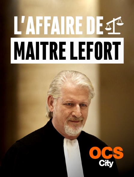 L'affaire de Maître Lefort (2016) постер