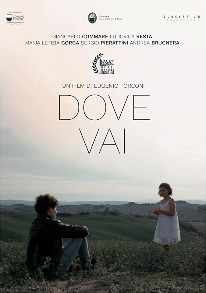 Dove Vai (2019) постер