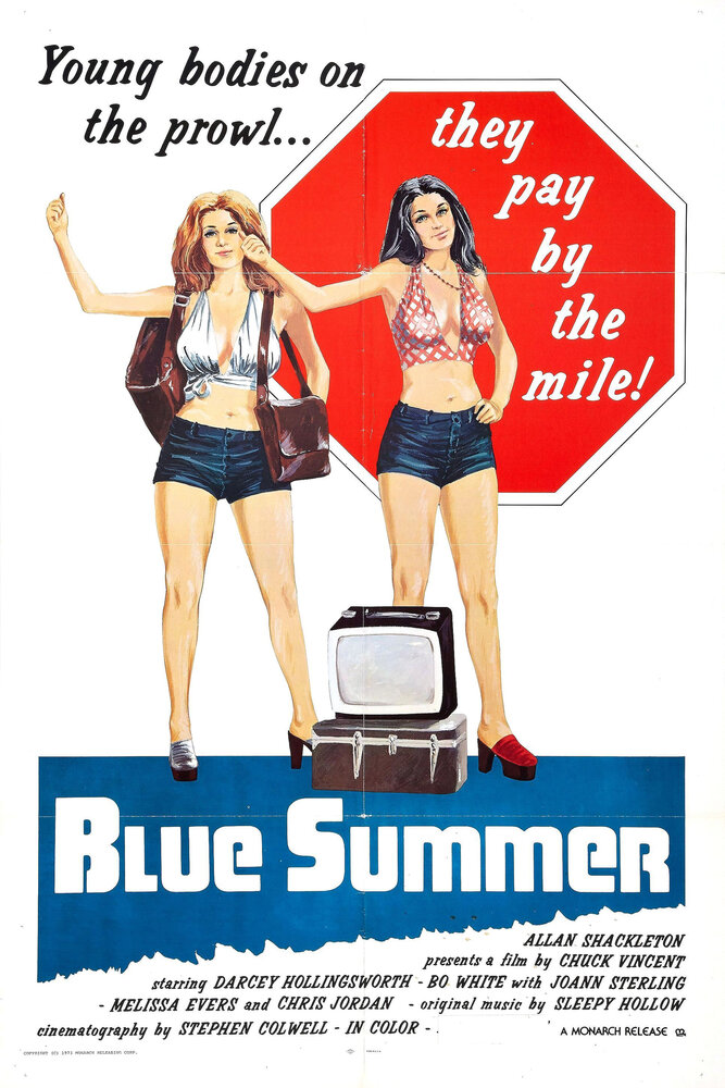 Лето желаний (1973) постер