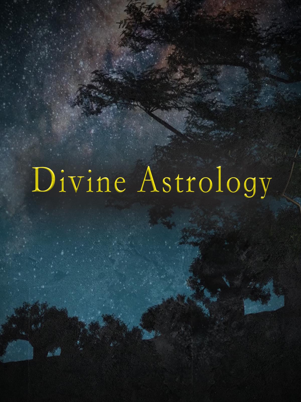 Divine Astrology (2020) постер