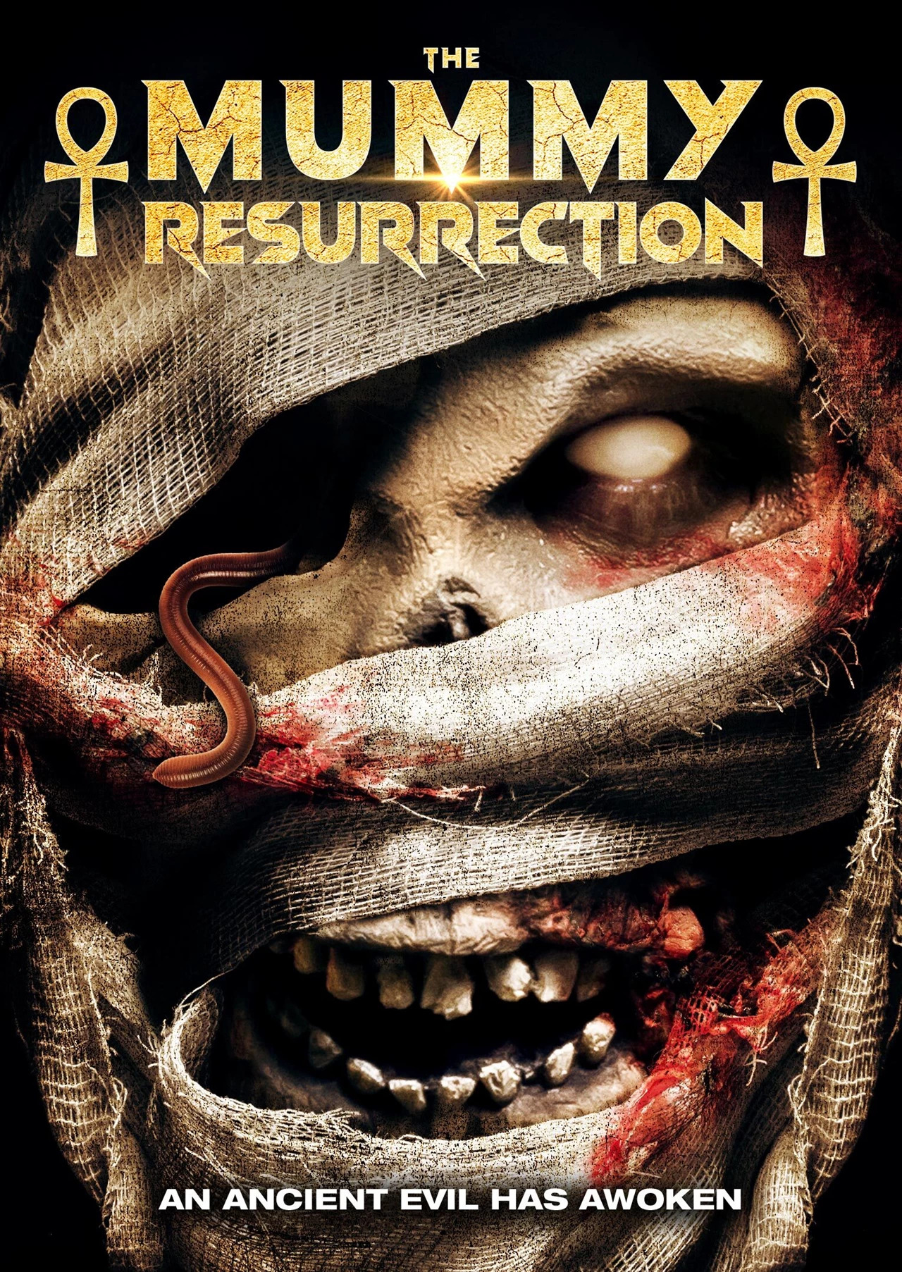 The Mummy: Resurrection (2022) постер