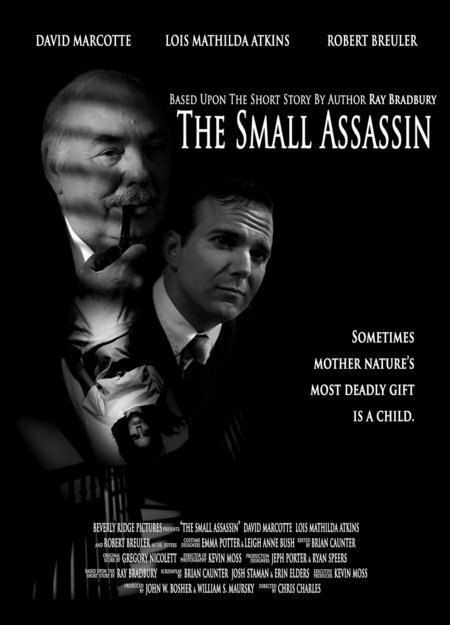 The Small Assassin (2011) постер