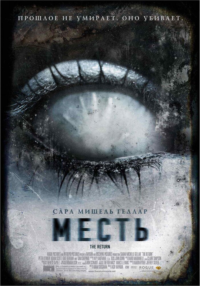 Месть (2006) постер