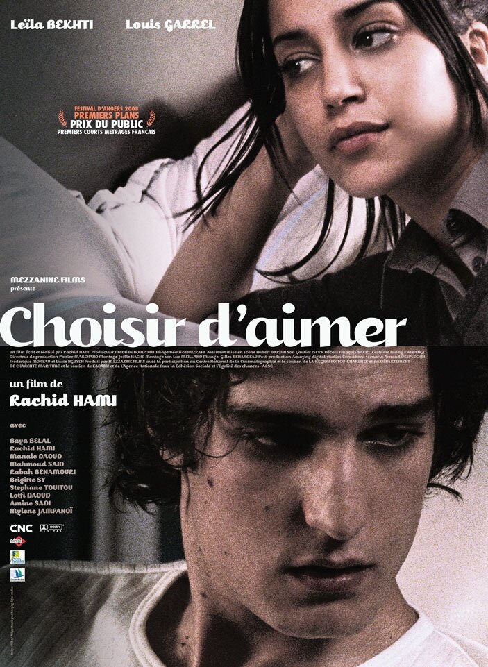 Выбор – любить (2008) постер