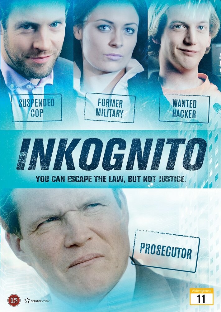 Инкогнито (2013) постер