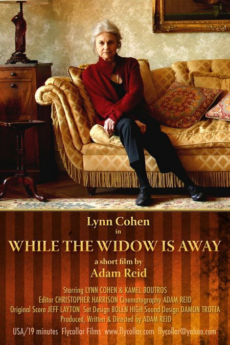 While the Widow Is Away (2005) постер