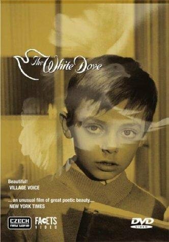 The White Dove (1920) постер