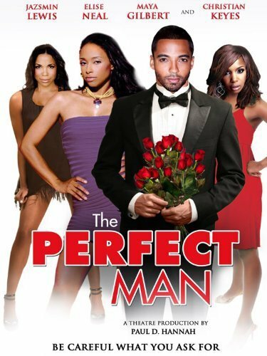 The Perfect Man (2011) постер