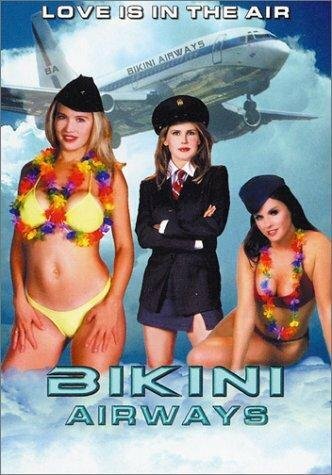 Авиалинии бикини (2003) постер