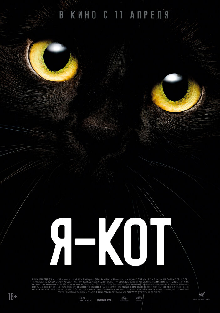 Я — кот (2023) постер