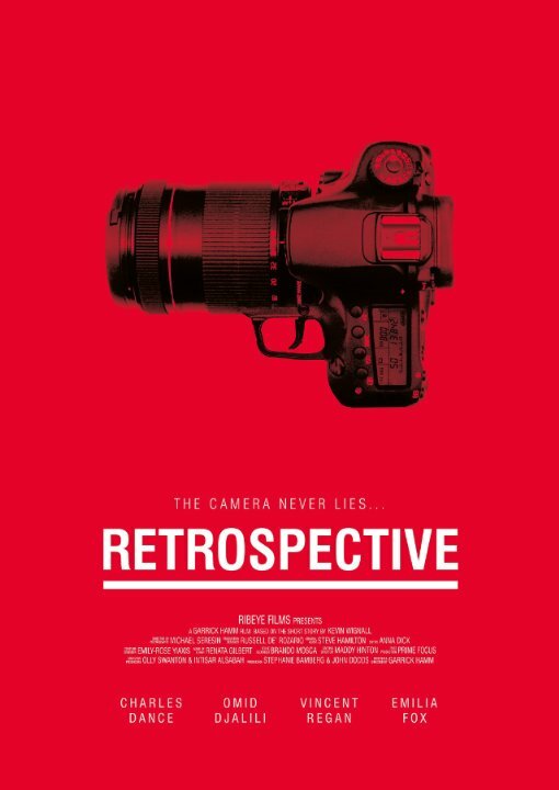 Retrospective (2014) постер
