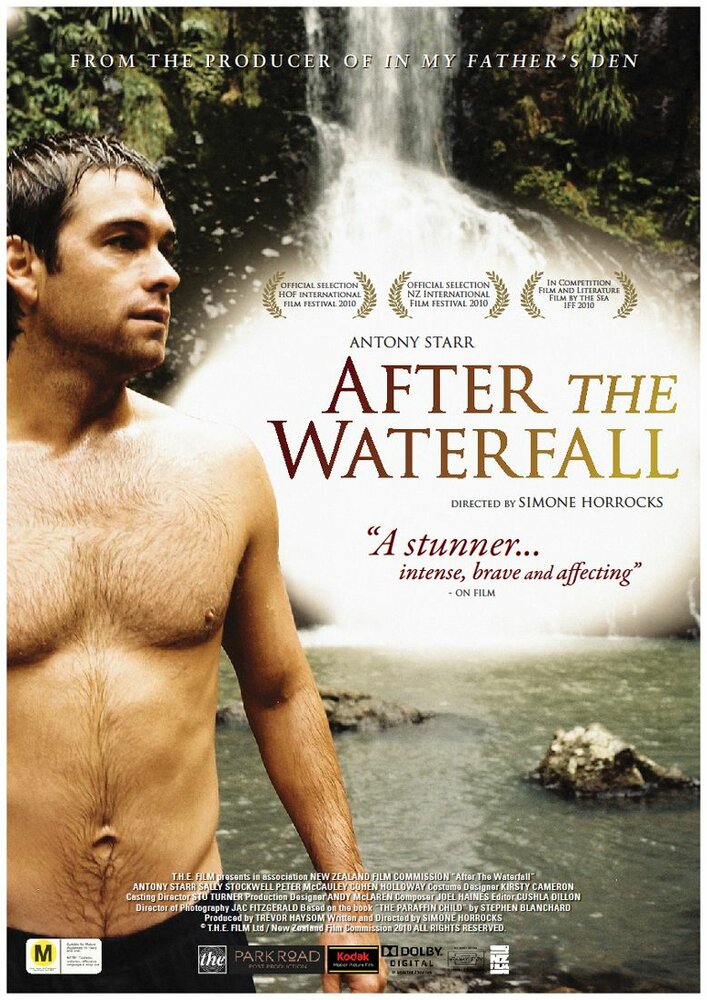 После водопада (2010) постер