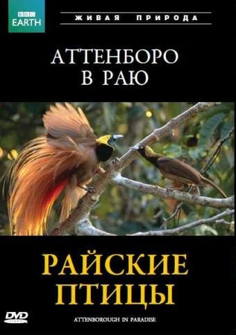 BBC: Райские птицы (1996) постер