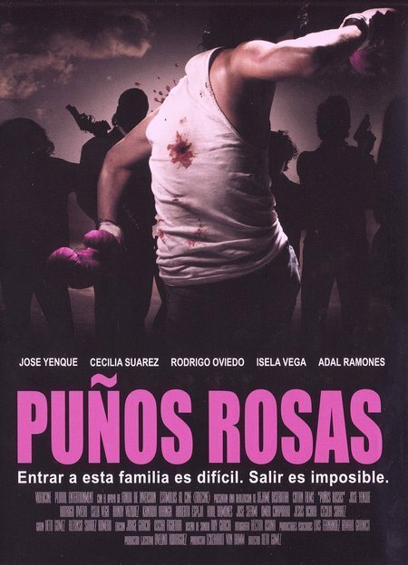 Кулаки розы (2004) постер