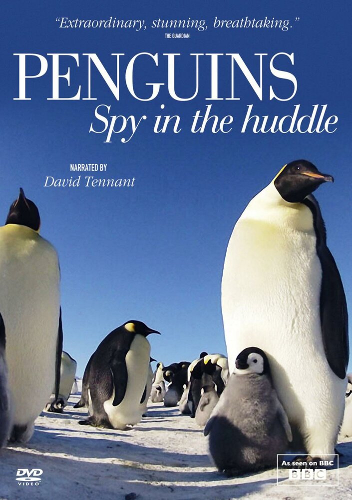Пингвины: Шпион в толпе (2013) постер