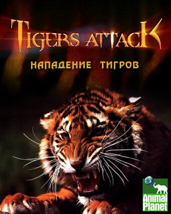 Нападение тигров (2007) постер