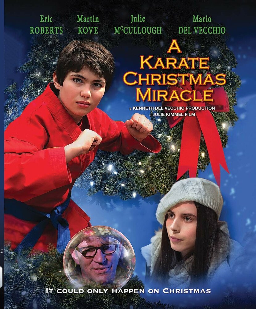 Рождественское чудо в стиле карате (2019) постер