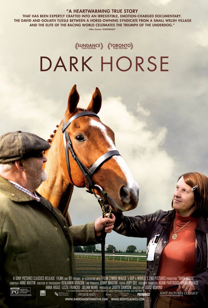 Тёмная лошадка (2015) постер