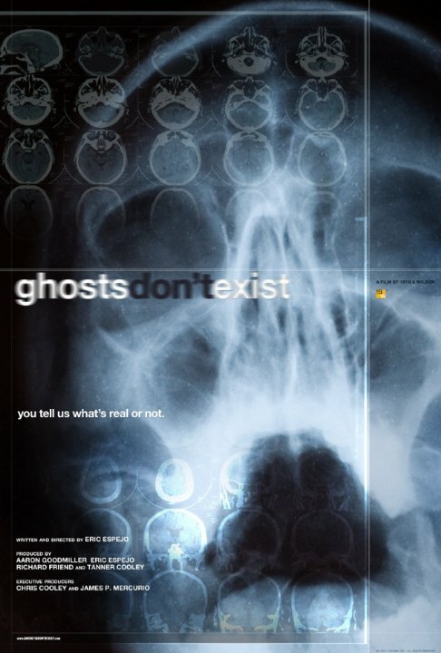 Ghosts Don't Exist (2010) постер