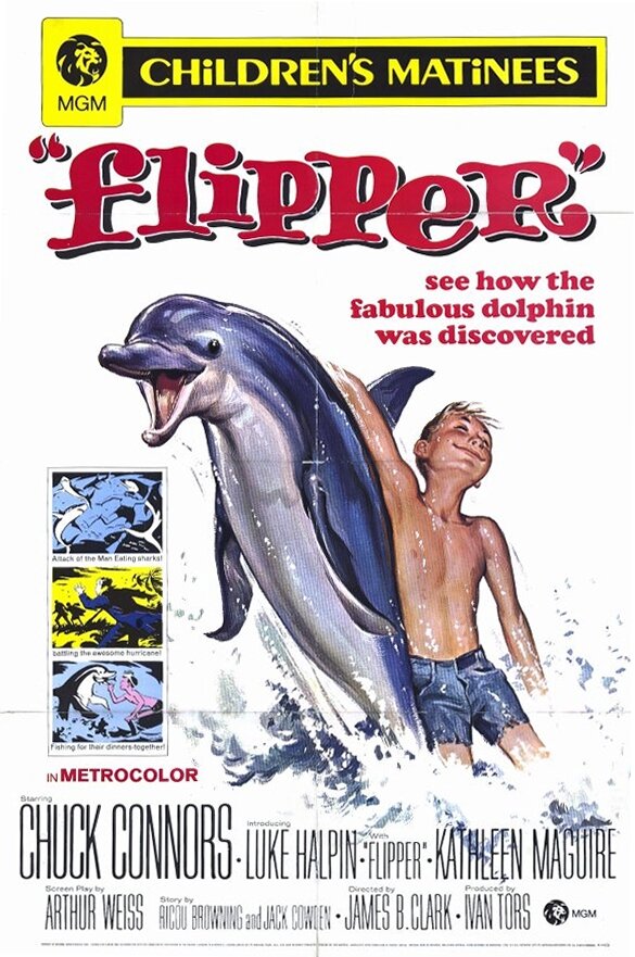 Флиппер (1963) постер