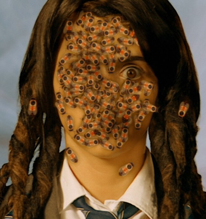 Девочка, которая глотала пчел (2007) постер