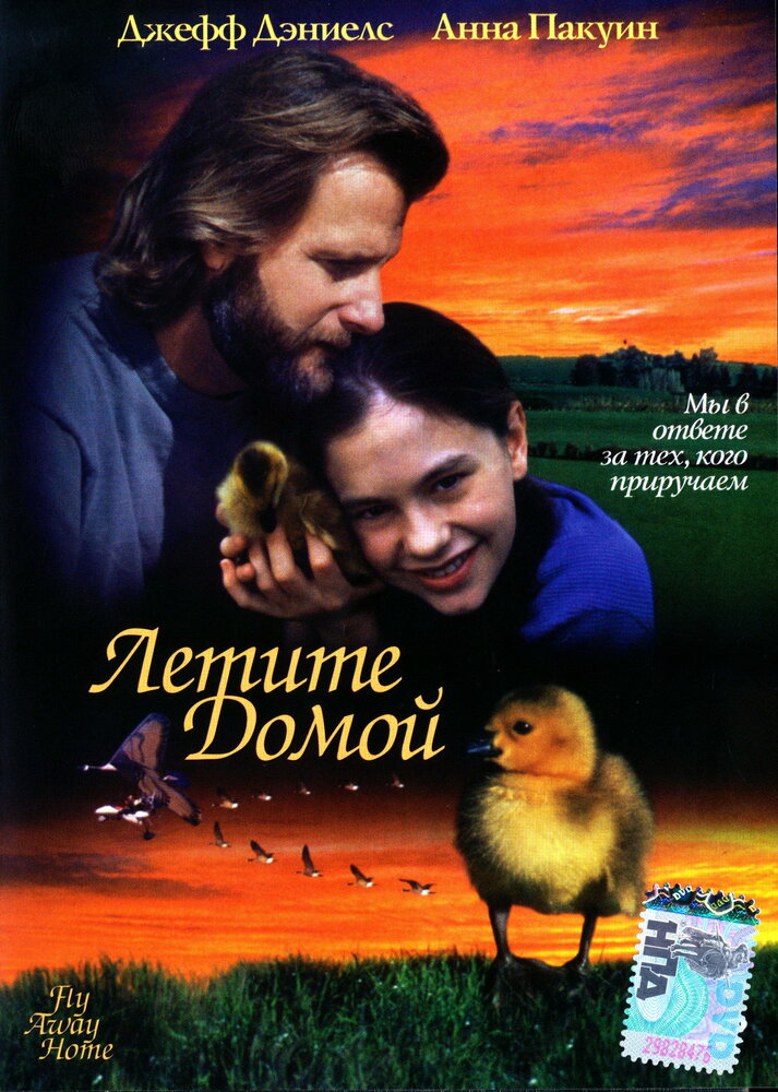 Летите домой (1996) постер