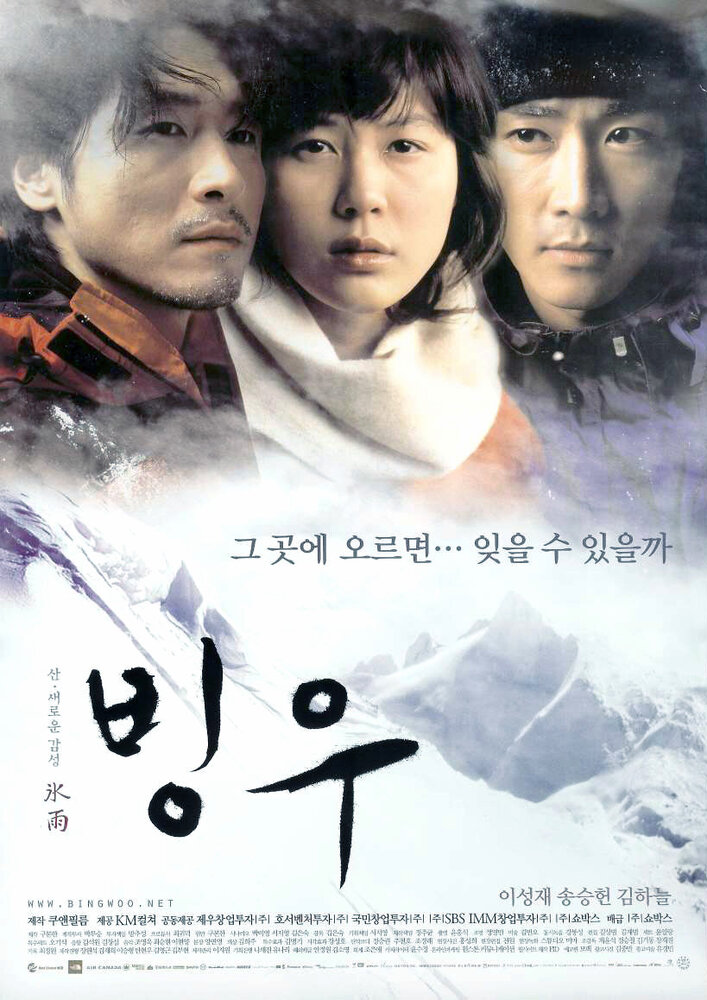 Ледяной дождь (2004) постер