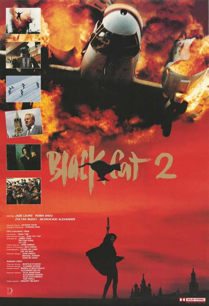 Черная кошка 2 (1992) постер