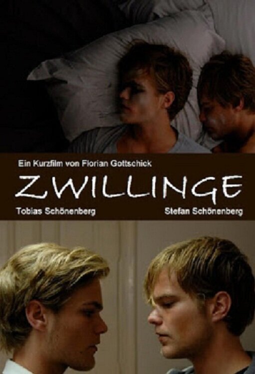 Zwillinge (2010) постер