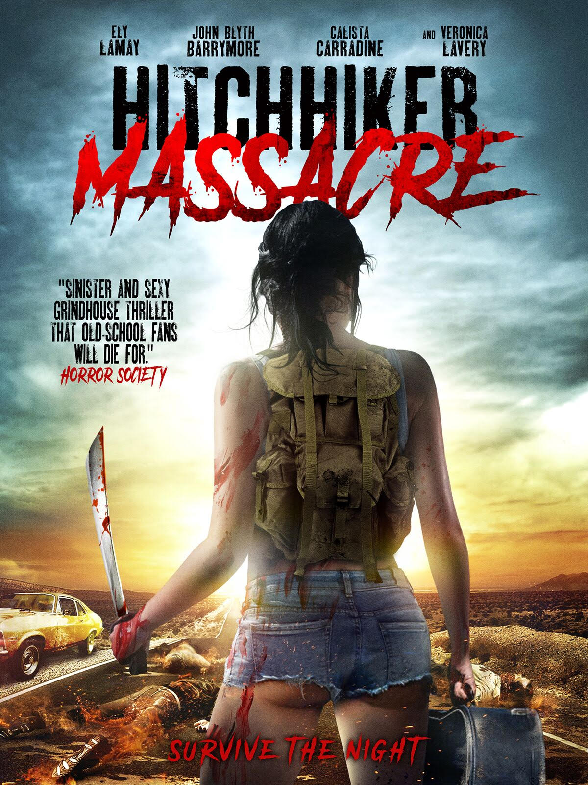 Hitchhiker Massacre (2014) постер