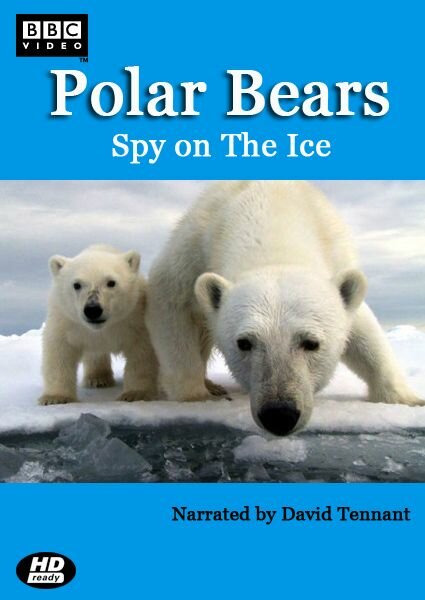 Белый медведь: Шпион во льдах (2011) постер