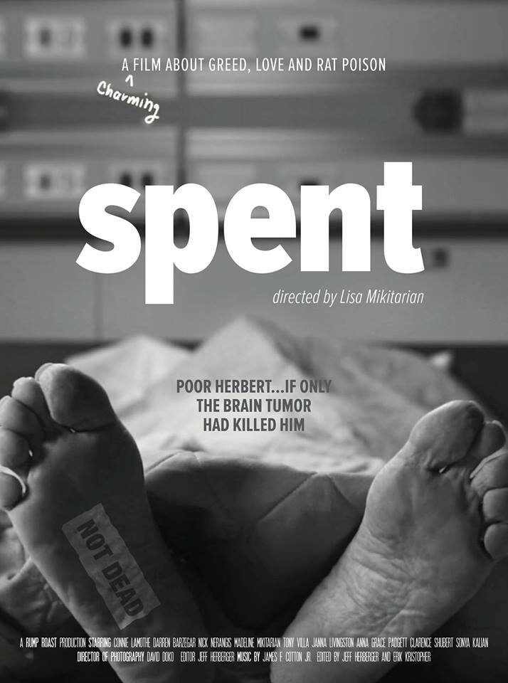 Spent (2017) постер