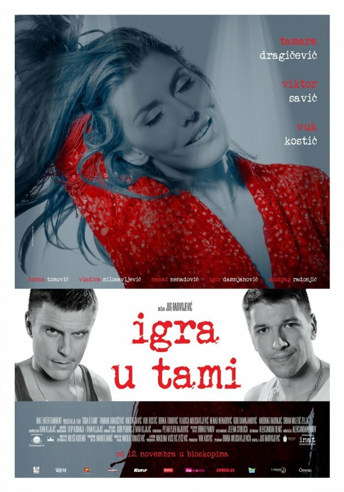Igra u tami (2015) постер