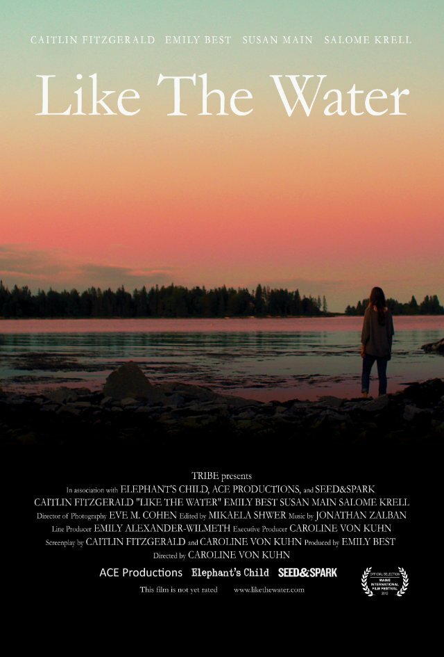 Как вода (2012) постер